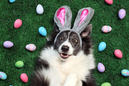 🐣 Easter Closure Notice 🐣