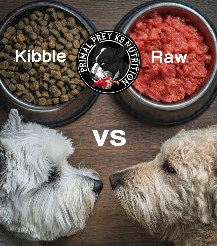 Raw Dog Food vs Kibble in Australia: Cost, Health & Longevity