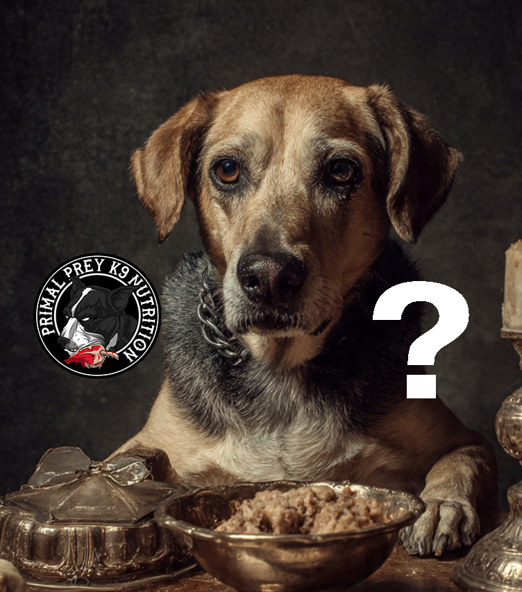 Top 5 Mistakes Australians Make When Feeding Raw