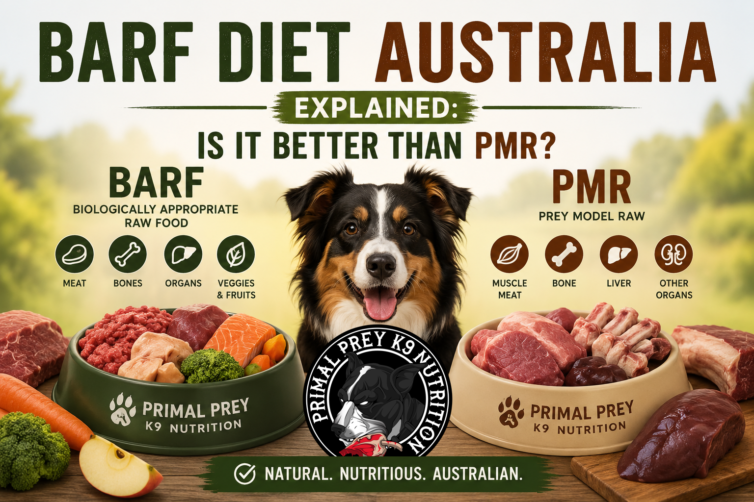 BARF Diet Australia Explained: Is It Better Than PMR?
